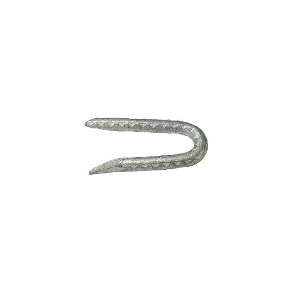 Grip-Rite Fence Staples, 9 ga, 1-3/4 in Leg L, Steel 134HGFS5